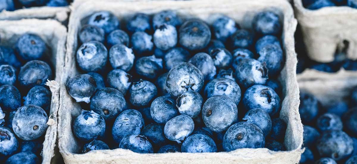 Blog Vie Bouffe Nature